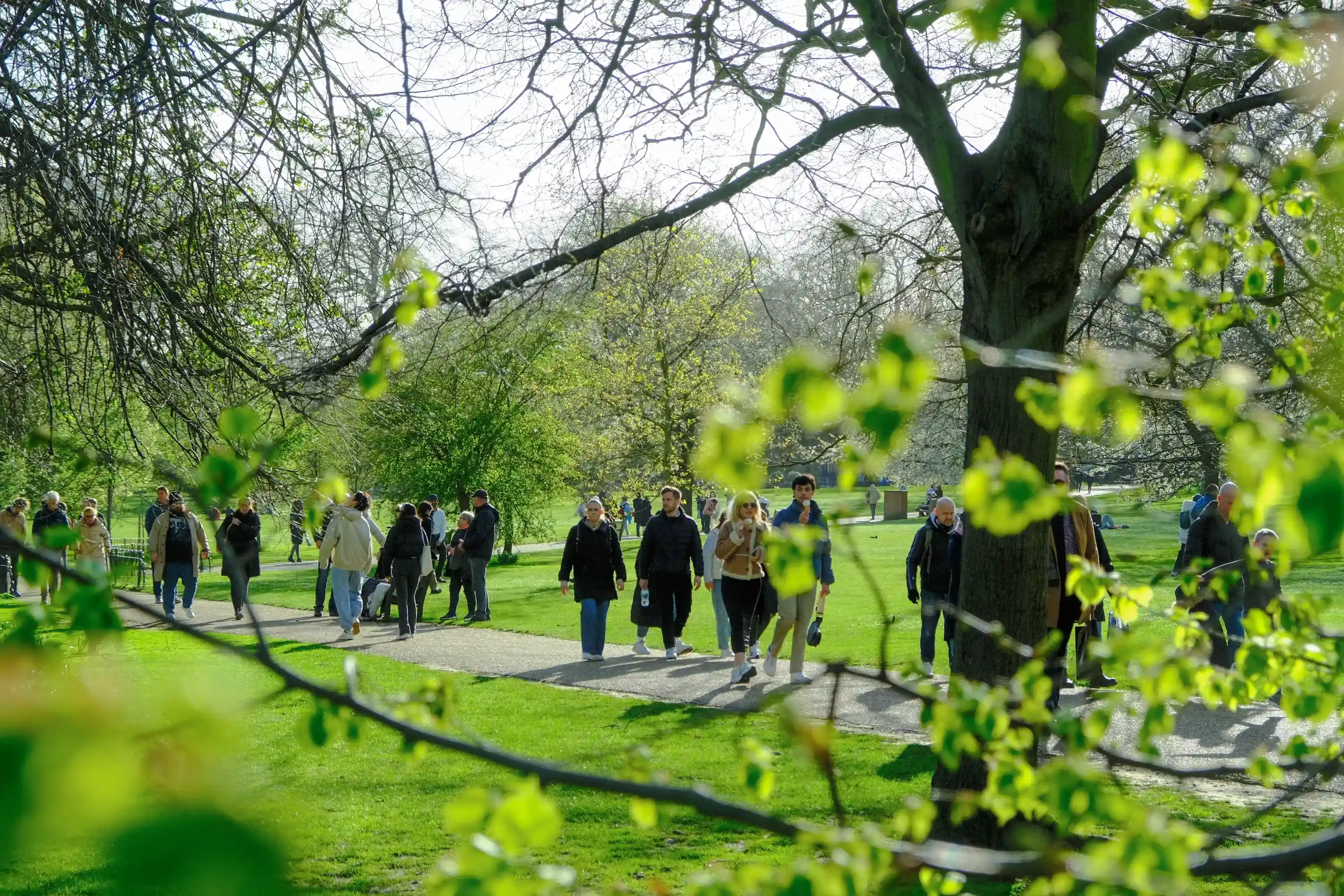 A diverse group of people gathering at the start of a park walkway before a shared walk