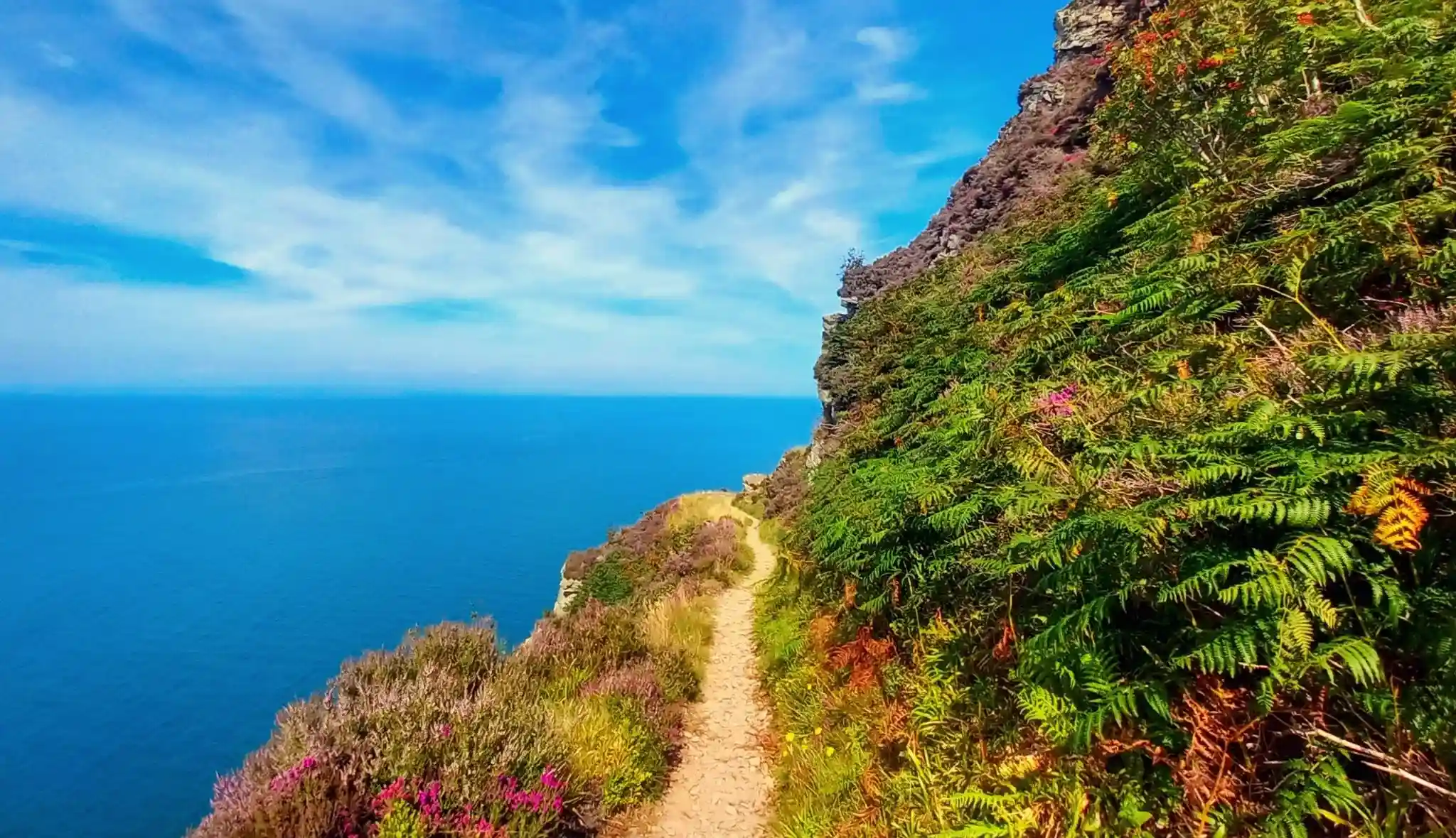 A serene coastal walking path with gentle sky and warm sand tones along the Christchurch coastline